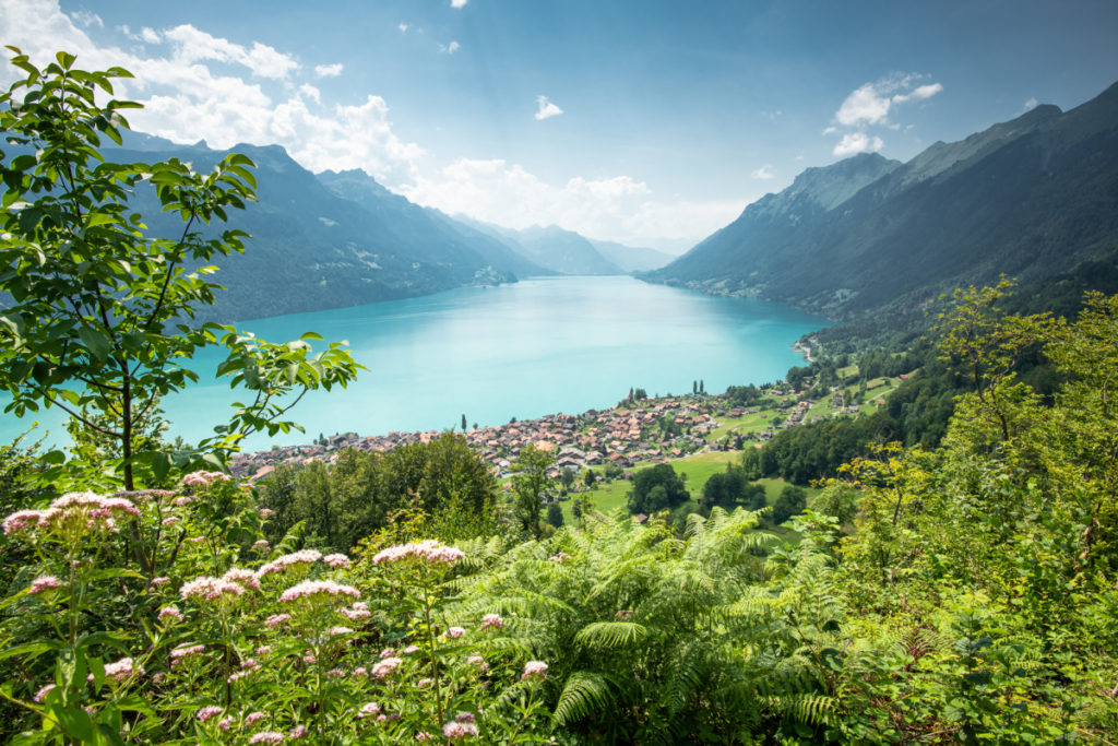 Brienzersee Lake Brienz